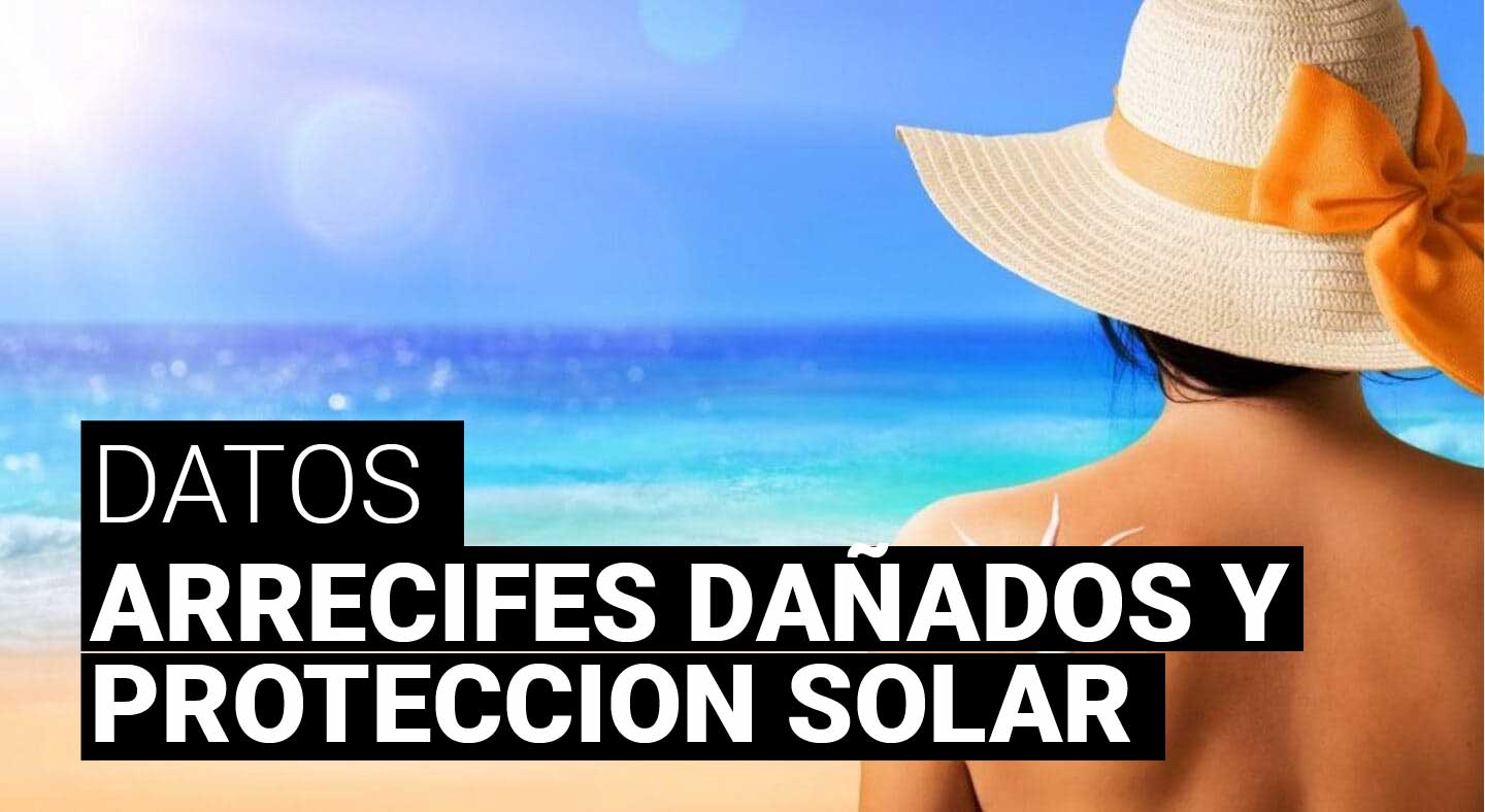 Protección solar sin dañar los arrecifes: descubre los protectores solares seguros para ti y el medio ambiente